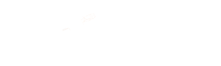 HeliSeven Group